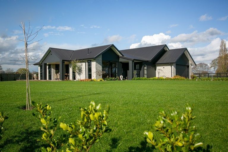 Photo of property in 41 Catalyst Avenue, Leamington, Cambridge, 3432