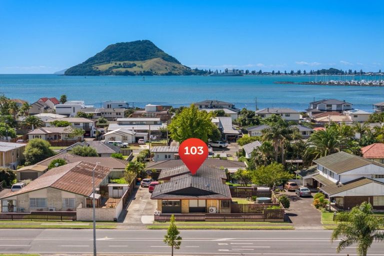 Photo of property in 103 Chapel Street, Otumoetai, Tauranga, 3110