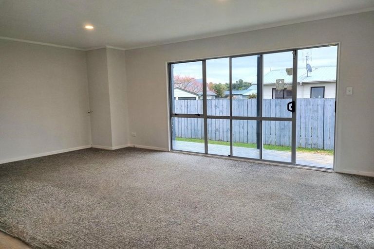 Photo of property in 13 Solomon Street, Brookfield, Tauranga, 3110