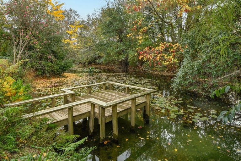 Photo of property in 3 Lily Pond Lane, Katikati, 3178