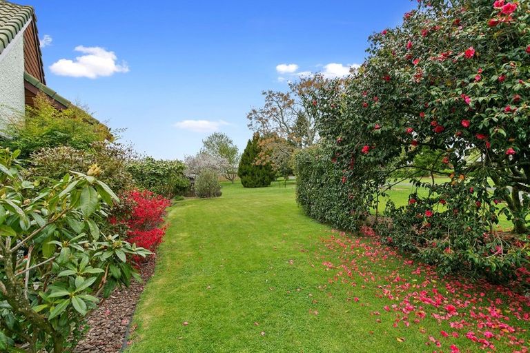 Photo of property in 36 Findlater Street, Matamata, 3400