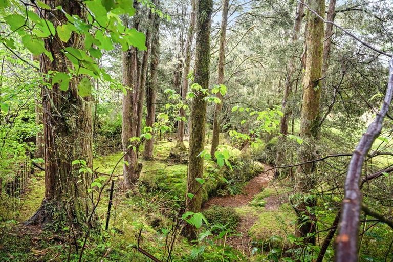 Photo of property in 162 Upokorau Road, Kaeo, 0478