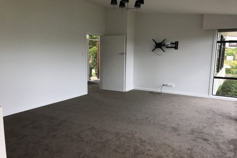 Photo of property in 117 Doon Street, Waverley, Dunedin, 9013