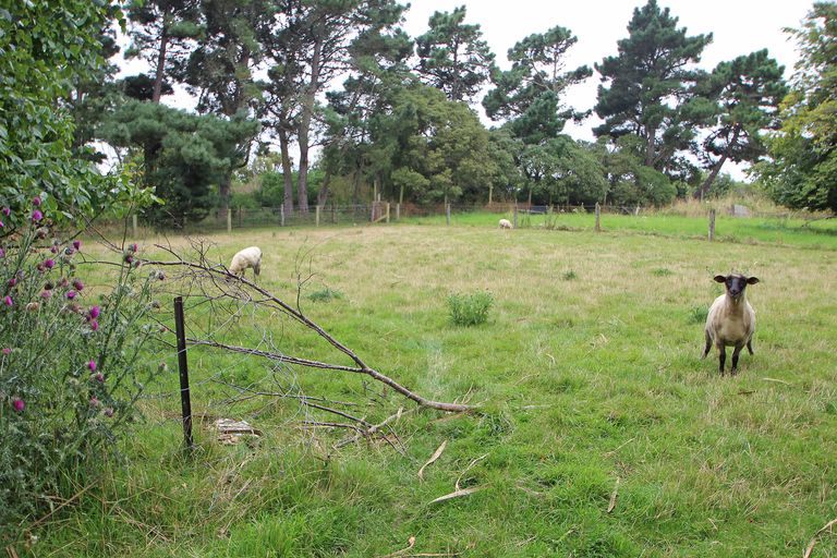 Photo of property in 48 Magdala Street, Kakanui, Oamaru, 9495