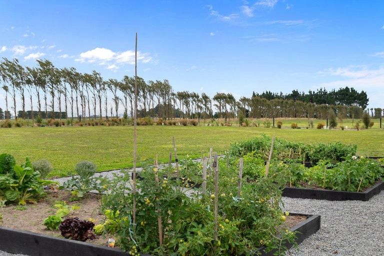 Photo of property in 604 Homebush Road, Kirwee, Christchurch, 7671