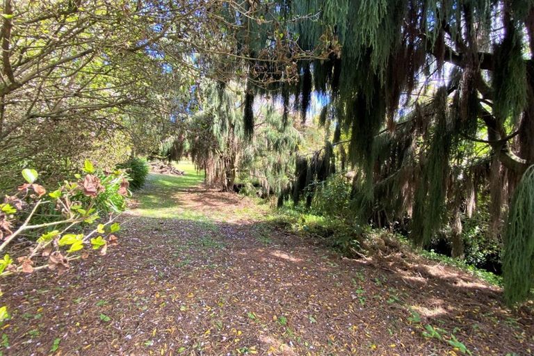 Photo of property in 52 Cordelia Street, Stratford, 4332