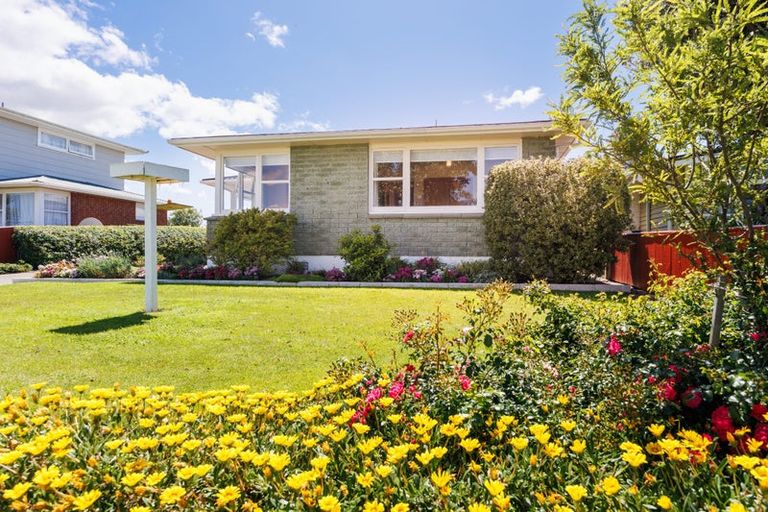 Photo of property in 49 Anakiwa Street, Kelvin Grove, Palmerston North, 4414