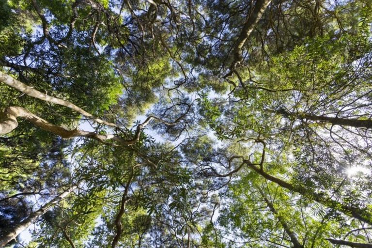 Photo of property in 108 Hadfield Street, Beach Haven, Auckland, 0626