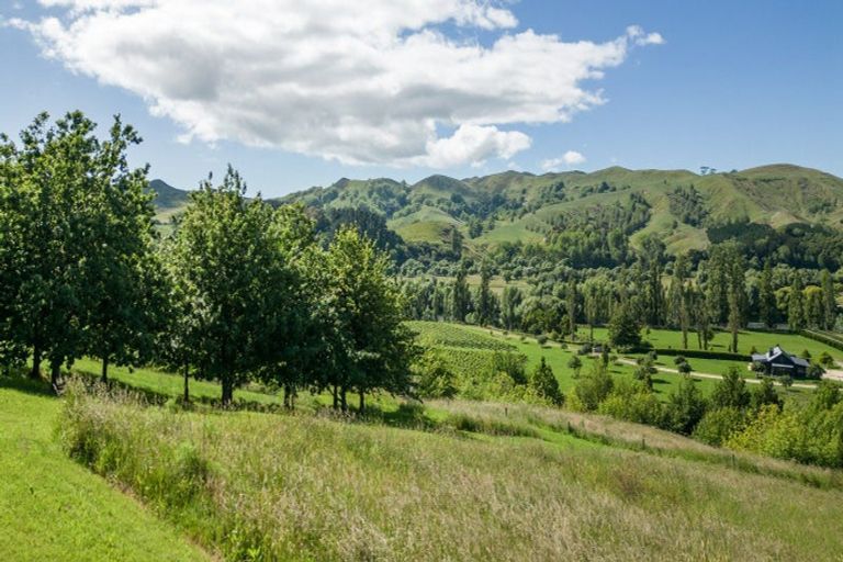 Photo of property in 155 Matangi Road, Tuki Tuki, Havelock North, 4294