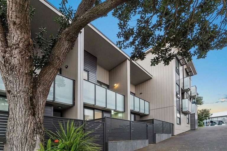 Photo of property in 88 Harold Street, Mount Eden, Auckland, 1024