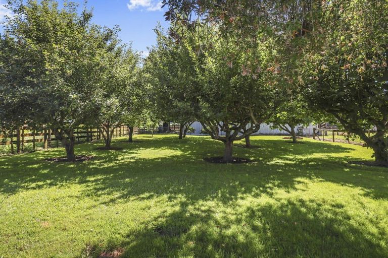 Photo of property in 121 Morrinsville-walton Road, Morrinsville, 3371