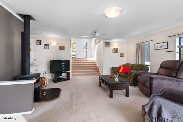 Photo of property in 2/49 Carlisle Road, Torbay, Auckland, 0630