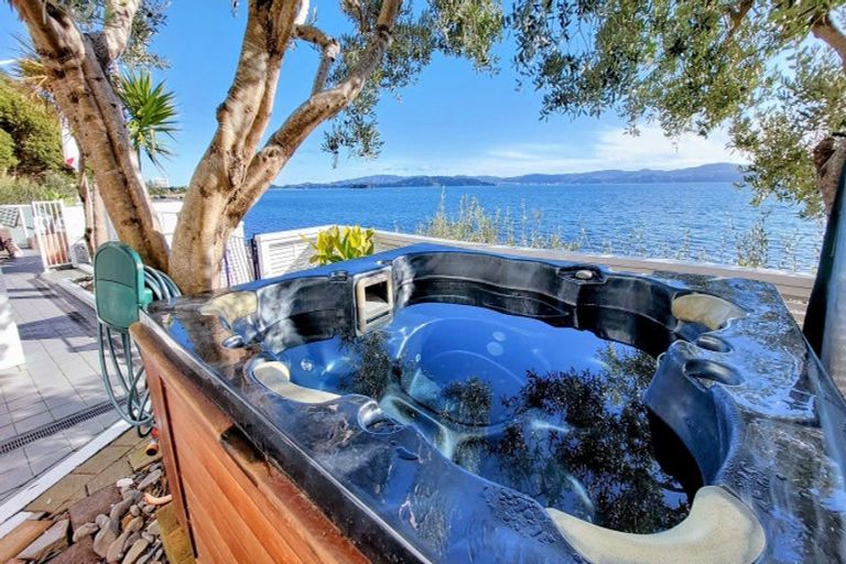 Photo of property in 709 Marine Drive, Eastbourne, Lower Hutt, 5013