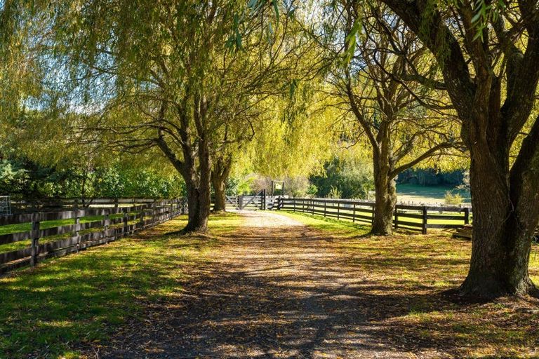 Photo of property in 63 Gibsons Road, Kaituna, Blenheim, 7273