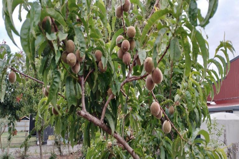 Photo of property in 386 Alabama Road, Riverlands, Blenheim, 7274