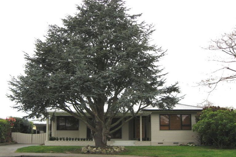 Photo of property in 807 Oxford Street, Saint Leonards, Hastings, 4120