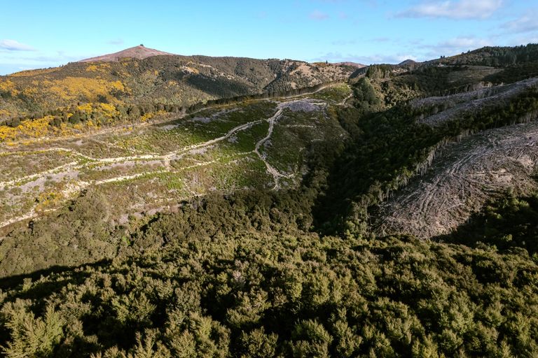 Photo of property in 24 Duncan Road, St Andrews, Hamilton, 3200