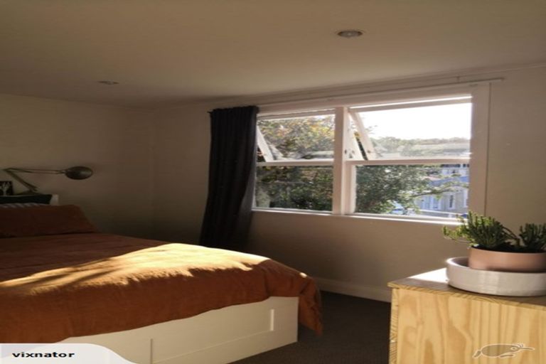 Photo of property in 21 Bidwill Street, Mount Cook, Wellington, 6021