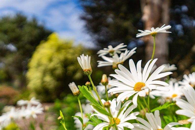 Photo of property in 3 Seascape Crescent, Waipu, 0582