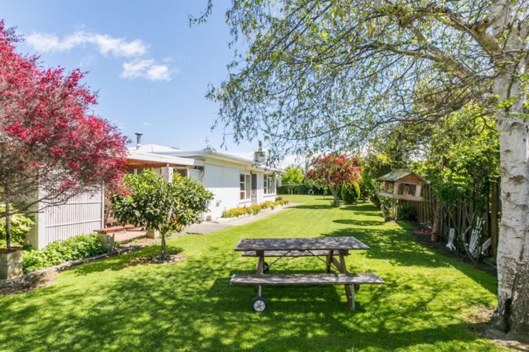 Photo of property in 305 Norton Road, Akina, Hastings, 4122