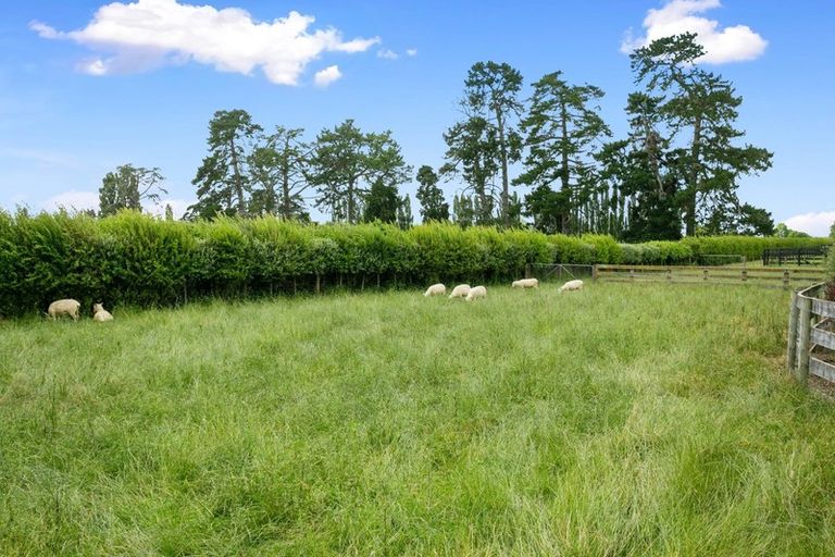 Photo of property in 165 Buckland Road, Matamata, 3472