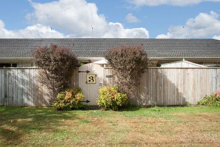 Photo of property in 3/48 Byron Street, Leamington, Cambridge, 3432