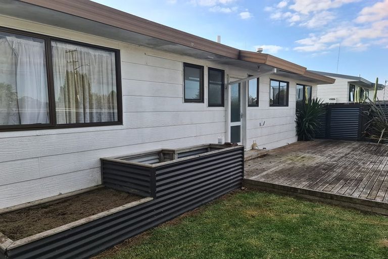 Photo of property in 55a Ohauiti Road, Hairini, Tauranga, 3112