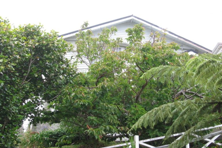 Photo of property in 23 Harland Street, Brooklyn, Wellington, 6021