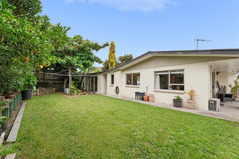 Photo of property in 176b Boucher Avenue, Te Puke, 3119