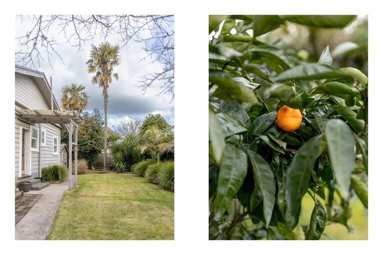 Photo of property in 57 Dunlop Road, Te Puke, 3119