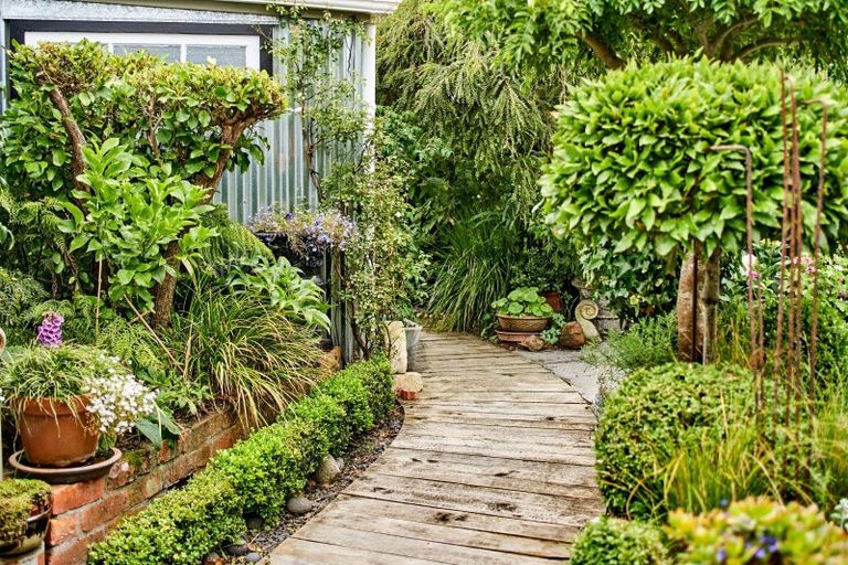 Photo of property in 93 Constable Street, Newtown, Wellington, 6021