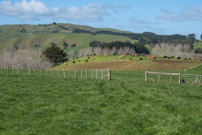 Photo of property in 697 Maungatawhiri Road, Raglan, 3295