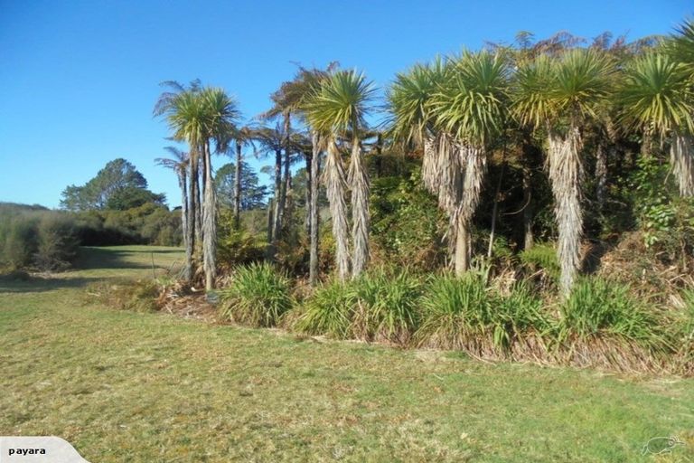 Photo of property in 7332 State Highway 6, Charleston, Cape Foulwind, 7892