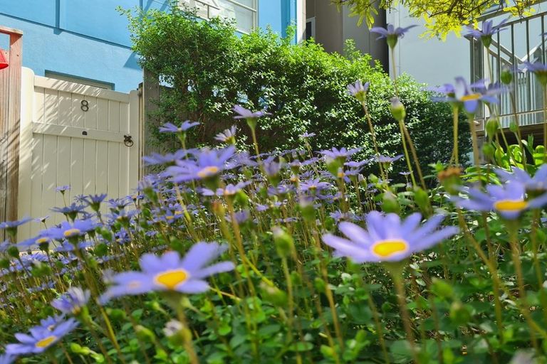 Photo of property in 8/30 Hanson Street, Mount Cook, Wellington, 6021