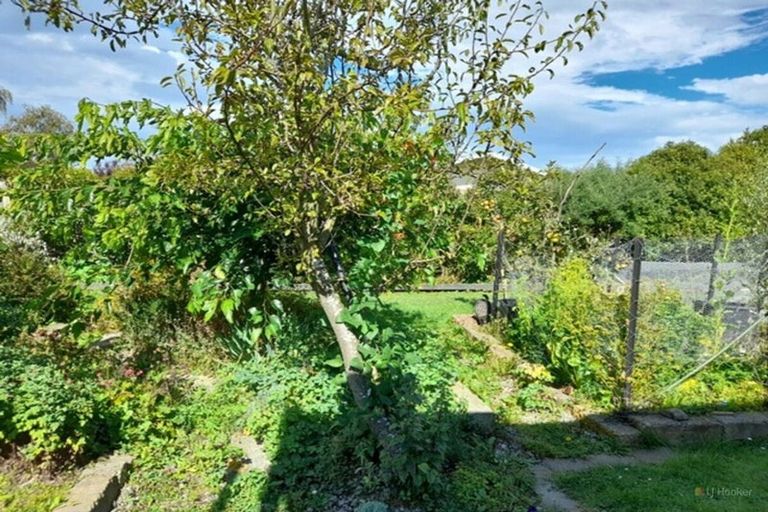 Photo of property in 14 George Street, Waimate, 7924