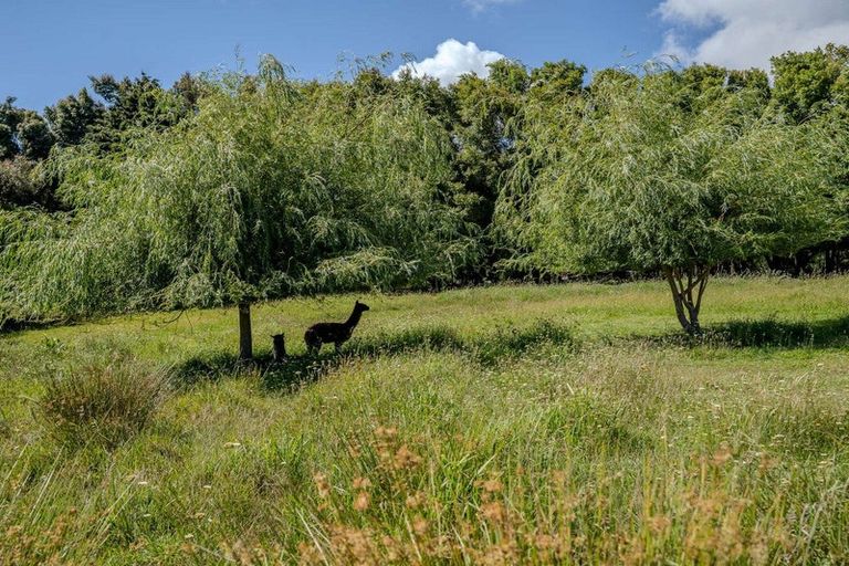 Photo of property in 41a Orchard Road, Kerikeri, 0295