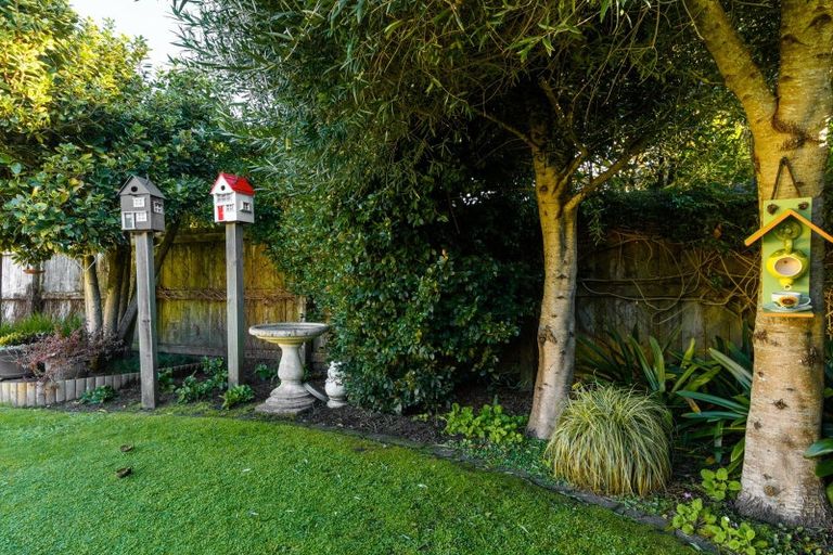 Photo of property in 19 Inglewood Place, Bethlehem, Tauranga, 3110