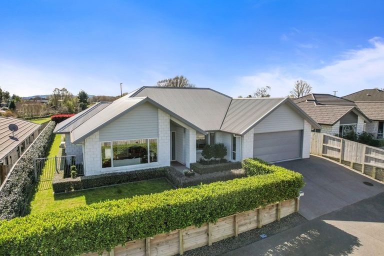 Photo of property in 46 Helen June Avenue, Flagstaff, Hamilton, 3210