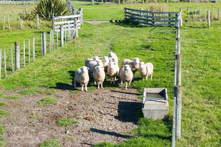 Photo of property in 84 Sandford Road, Ruakaka, Whangarei, 0171