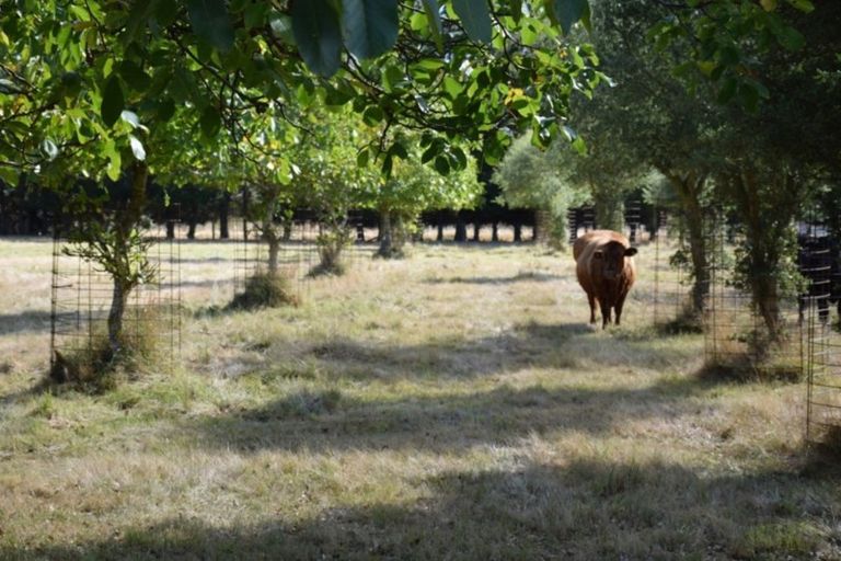 Photo of property in 6 Old West Coast Road, Yaldhurst, Christchurch, 7676