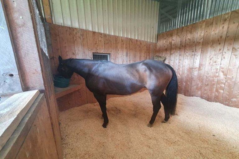 Photo of property in 568 Te Ngae Road, Owhata, Rotorua, 3010