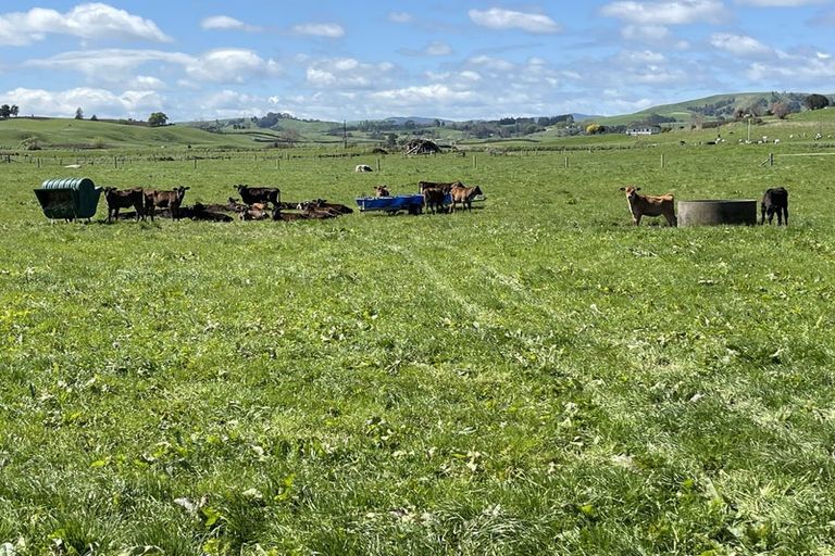 Photo of property in 16 Mcrae Road, Otewa, Otorohanga, 3972