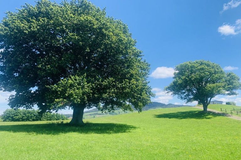 Photo of property in 231b Morgan Road, Matamata, 3472