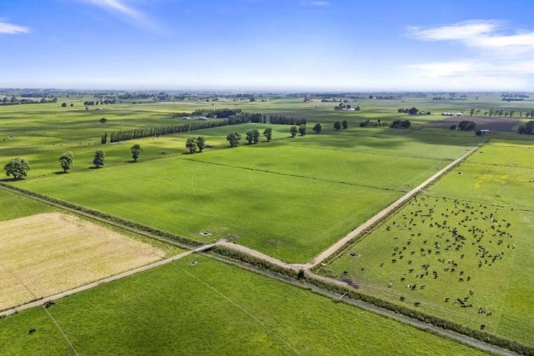 Photo of property in 145 Campbells Road, Pine Hill, Dunedin, 9010