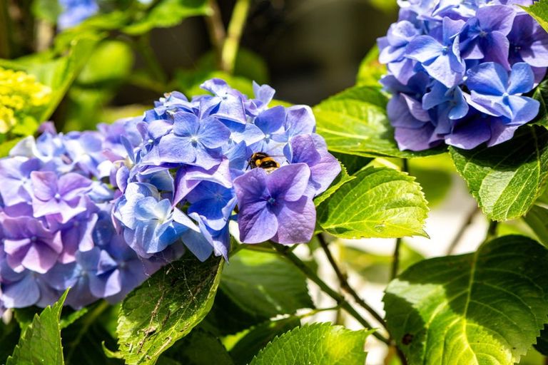 Photo of property in 28 Florance Avenue, Russell, 0202