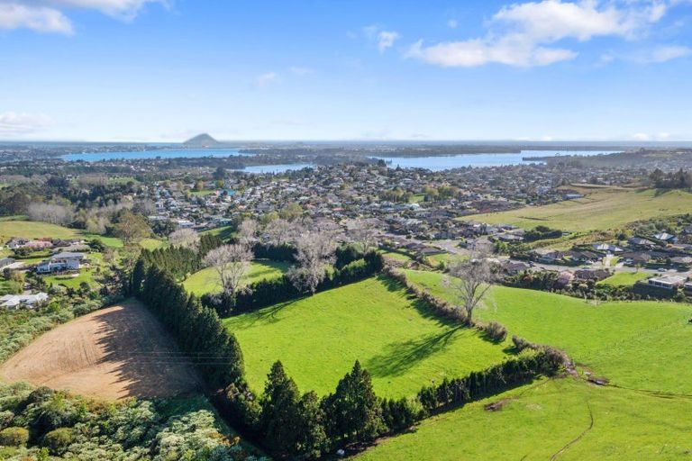 Photo of property in 24 Eagle Street, Welcome Bay, Tauranga, 3112