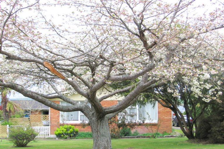 Photo of property in 14c Leslie Avenue, Western Heights, Rotorua, 3015