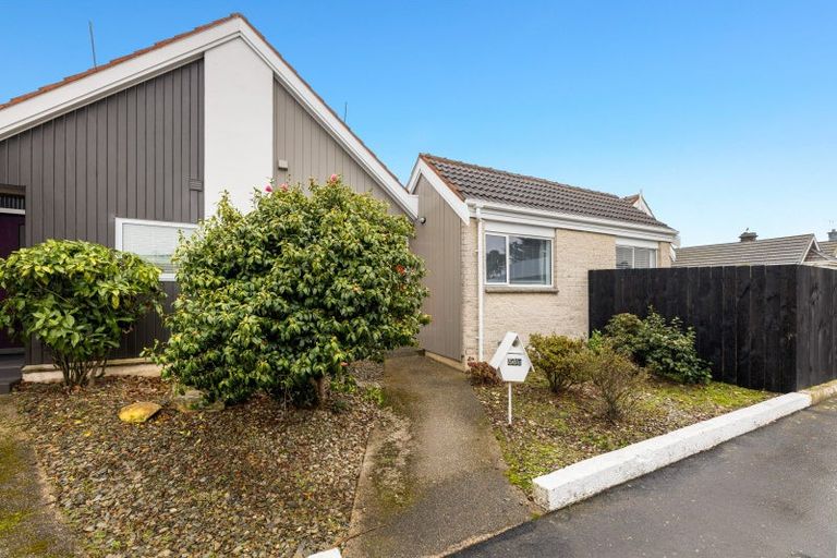 Photo of property in 56c Oxford Street, South Dunedin, Dunedin, 9012