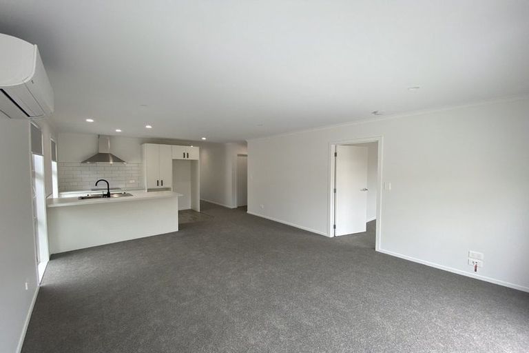 Photo of property in 3/45 Tranmere Road, Fairfield, Hamilton, 3214
