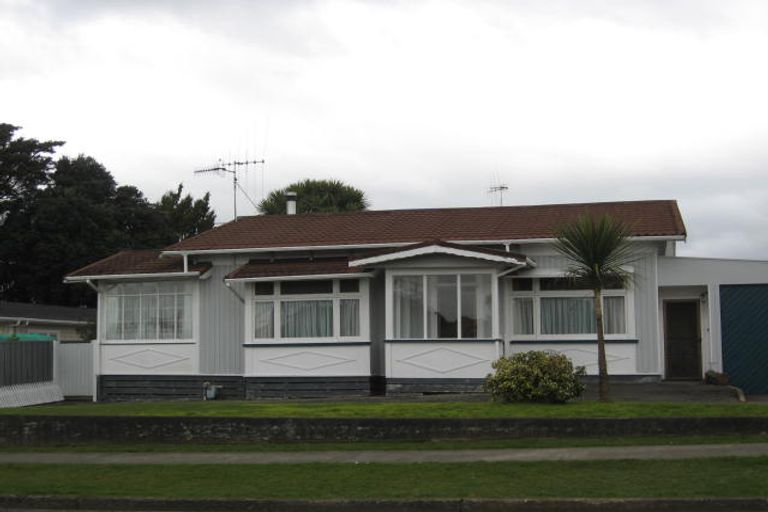 Photo of property in 48 Salisbury Street, Levin, 5510